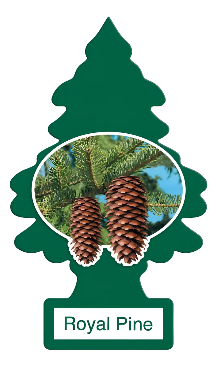 Little Trees Pino Aromatizante Royal Pine 1 unid - Imagen 2