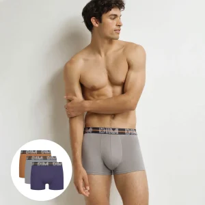 Pack de 3 calzoncillos Terre Powerful gris violeta para hombre