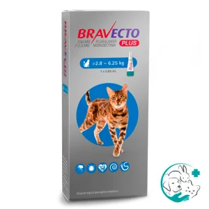 Bravecto Plus Gato 2,8 - 6,25 kg