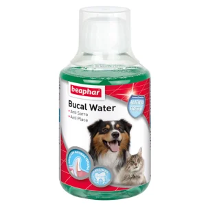 Enguaje Bucal Perro y Gato